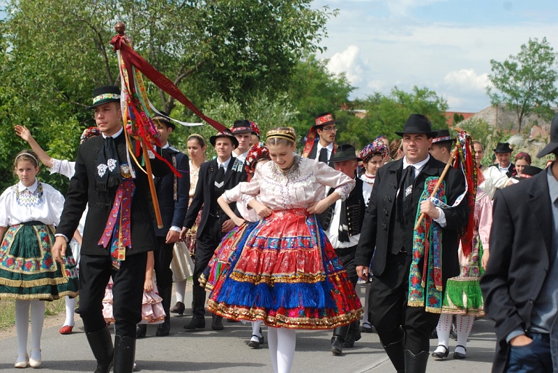 DSC_1804 (Medium).JPG